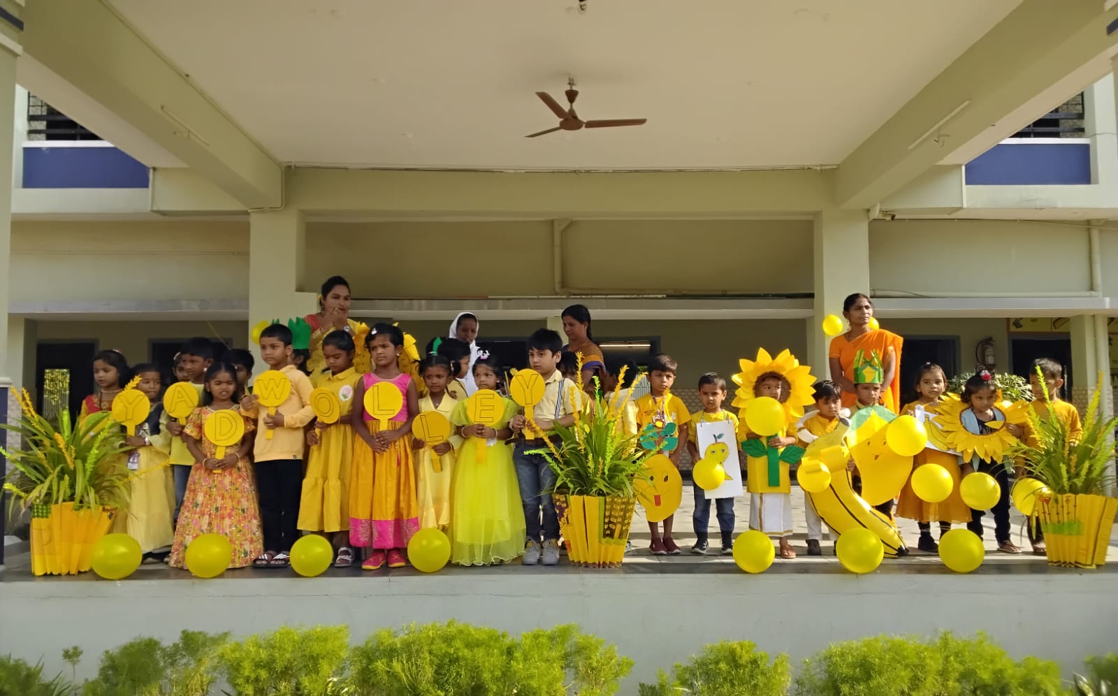 admin/about_picture/